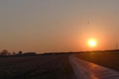 K1024_P1010891.1