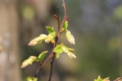 K1024_IMG_0123.1