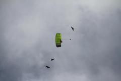 K1024_IMG_0620.1