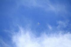 K1024_IMG_0809.1