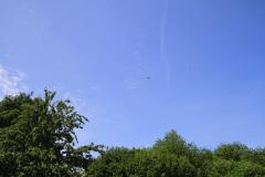 K1024_IMG_1176.1