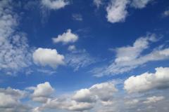 K1024_IMG_2317.1