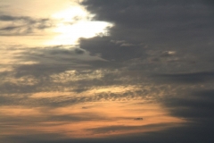 K1024_IMG_6656.1