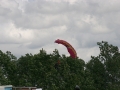 2011_06_18_09.jpg