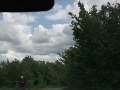 2011_06_18_37.jpg