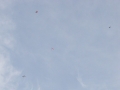 2010_03_24_18.jpg