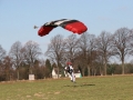 2011_03_06_11.jpg