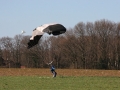 2011_03_19_18.jpg