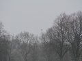 2013_03_30_36.jpg