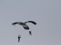 2013_03_30_62.jpg