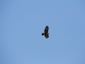 2014_03_08_01.jpg