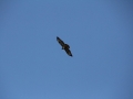 2014_03_08_02.jpg