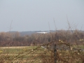 2014_03_08_42.jpg