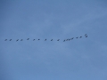 2014_03_08_43.jpg