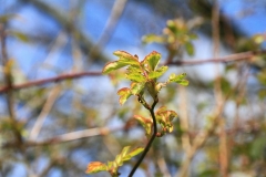 03_K1024_IMG_7478.1