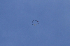 06_K1024_IMG_7226.1.1