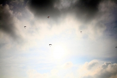 27_K1024_IMG_7396.1