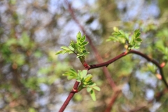 01_K1024_IMG_7006.1