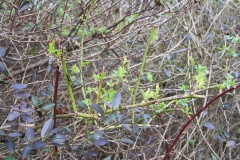 23_K1024_IMG_6845.1