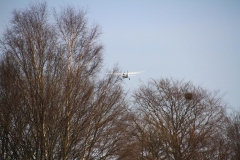 26_K1024_IMG_7054.1