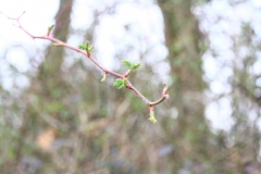 28_K1024_IMG_6856.1