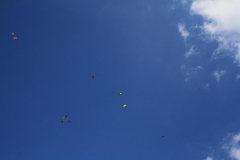 K1024_IMG_3111.1