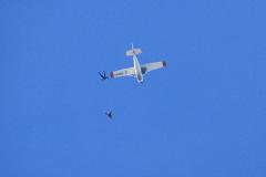 K1024_IMG_4761.1.1