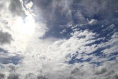 K1024_IMG_0502.1