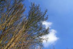 K1024_IMG_5157.1
