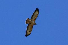 K1024_IMG_5194.1