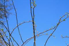 K1024_IMG_5232.1