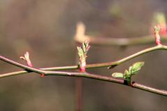 K1024_IMG_5291.1