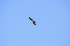 K1024_IMG_5292.1