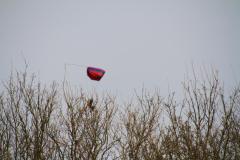 K1024_IMG_5461.1