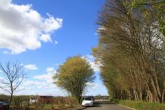 K1024_IMG_5547.1