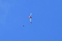 K1024_IMG_5549.1