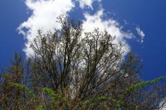 K1024_IMG_5562.1