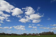 K1024_IMG_5564.1