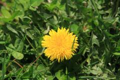 K1024_IMG_5578.1