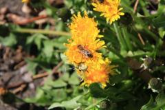 K1024_IMG_5599.1