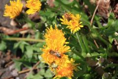 K1024_IMG_5600.1