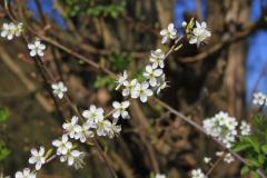 K1024_IMG_0124.1