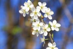 K1024_IMG_0151.1