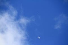 K1024_IMG_0281.1