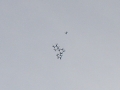 2011_05_07_35.jpg