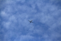 K1024_IMG_0462.1