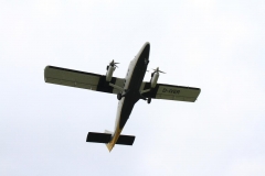 K1024_IMG_0747.1
