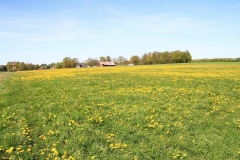 01_K1024_IMG_9039.1