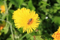 02_K1024_IMG_9040.1