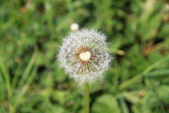 02_K1024_IMG_9628.1